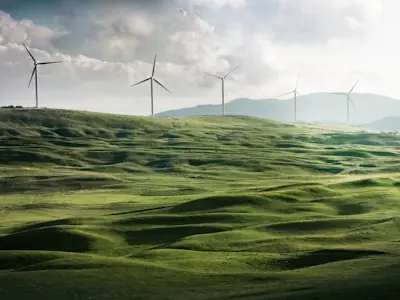Wind Farm Development