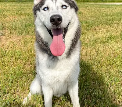 Luna